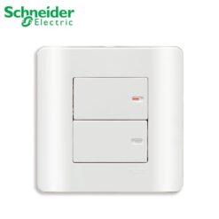 Bộ công tắc đôi 1 chiều 16A Schneider E8432_1_G19 Zencelo