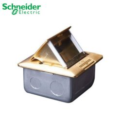 Ổ cắm âm sàn cho S-Flexi có đế âm, màu nhũ vàng Schneider E224F_BAS